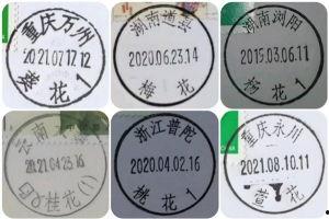 成人久久网91精产品