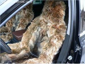 国产A级毛,匠心独运，引领时尚潮流